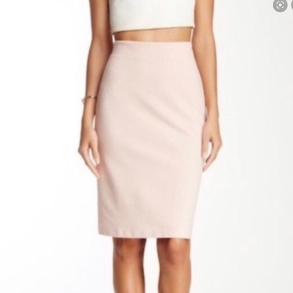 Philosophy Dresses & Skirts - Philosophy Blush Pink Career Pencil Skirt
